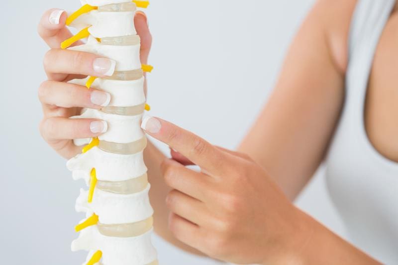 a woman pointing at a model of a spine